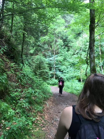 Schwarzwald: An Indian in the Black Forest: photo 1