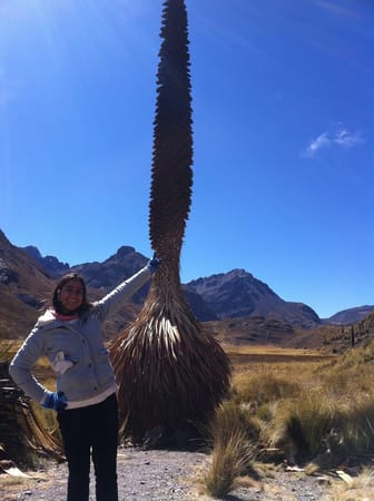 Huaraz:The Hidden Nature: photo 5