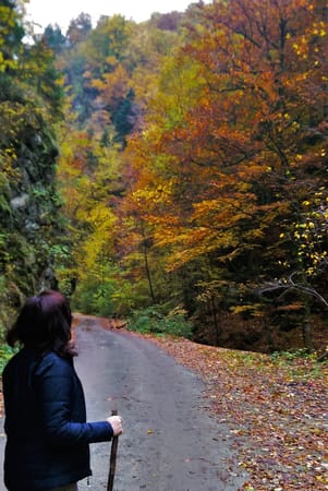 A Romanian Tale in the Cozia Mountains: photo 7