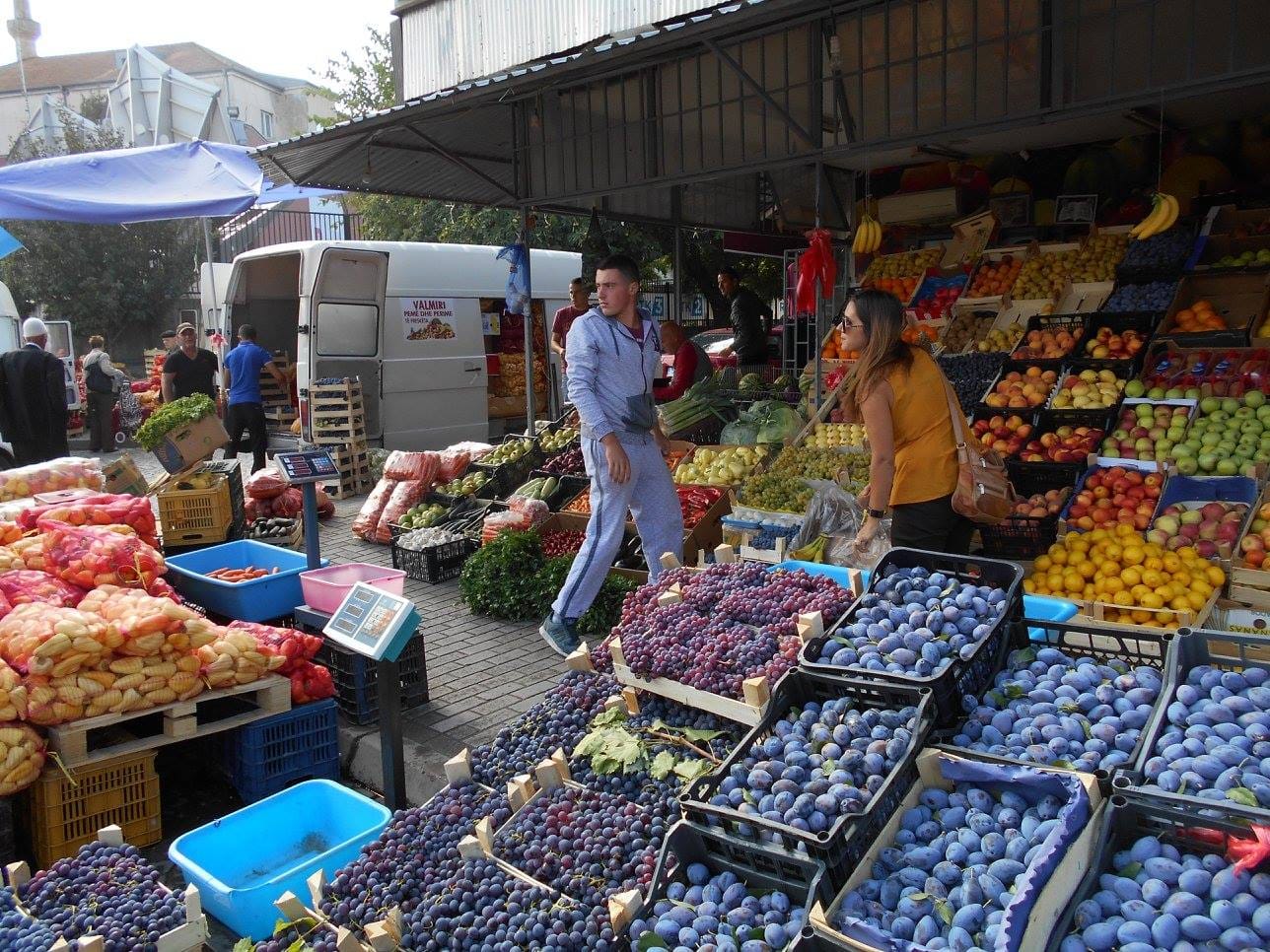 A Prowl Around Pristina