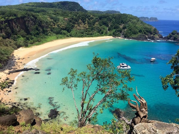 Fernando de Noronha: Tropical Island Getaway: photo 5