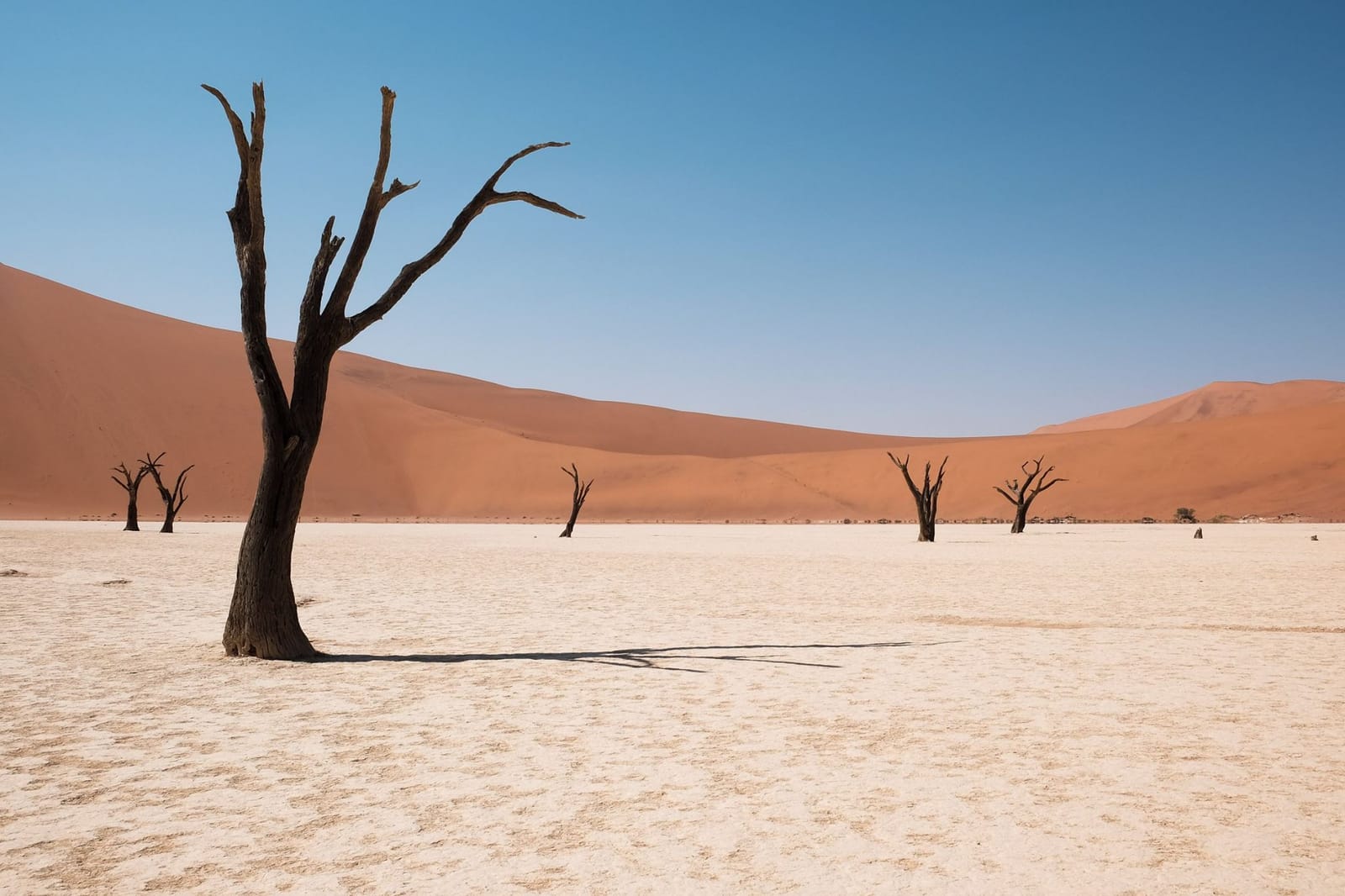 Namibia Self-drive: tips before you go!