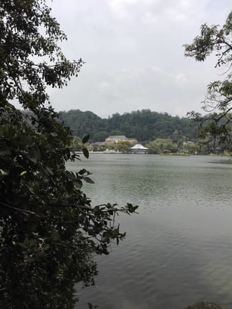 5 Things To Do in Kandy- Sri Lanka With Limited Time: photo 1
