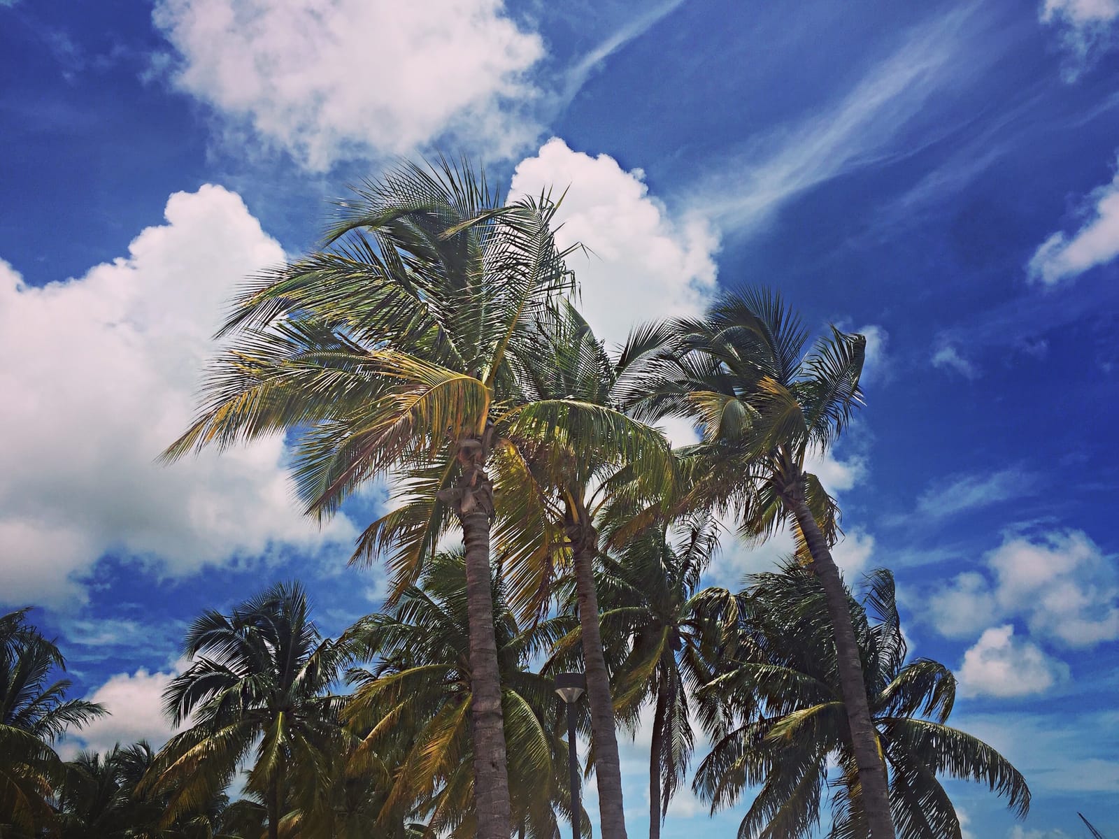 Miami Vice: One of the best cities!