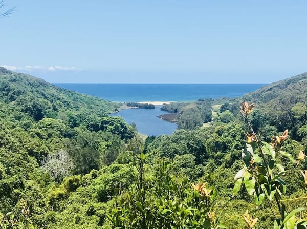 7 (Free) Places to Enjoy in Newcastle: photo 8