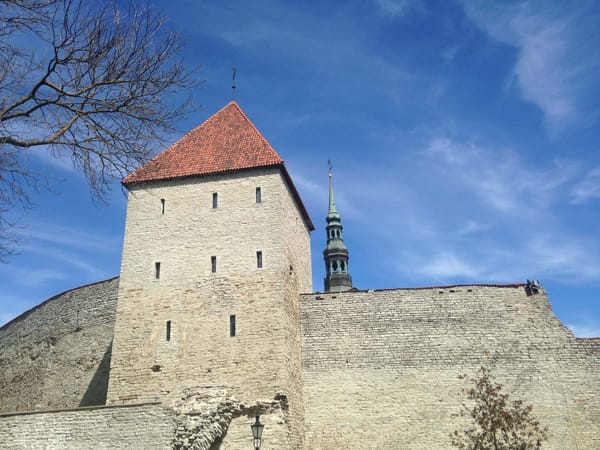 Overview of Tallinn: photo 7