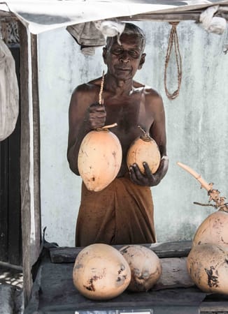 Colombo: A Quick Travel Guide to an Urban Jungle in Sri Lanka: photo 2