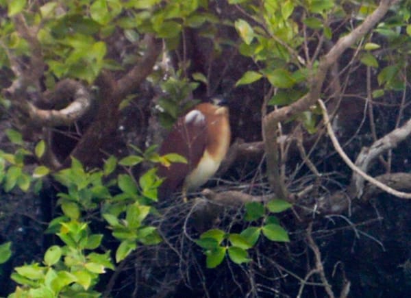 El Nido: An Adventure to Remember: photo 5
