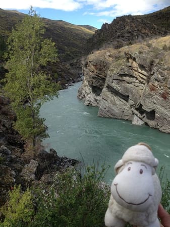 Touring the West Coast of New Zealand’s South Island: photo 8