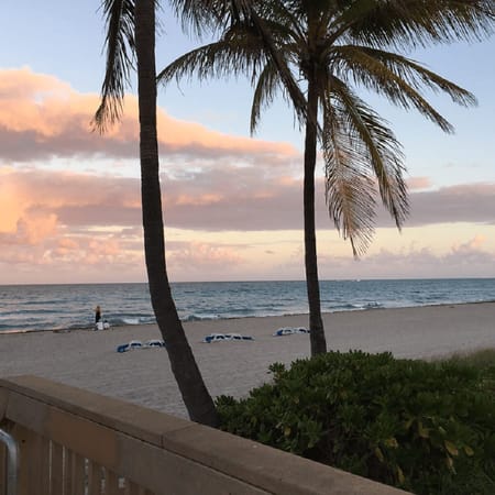 Hollywood Beach Florida : A Must See: photo 7