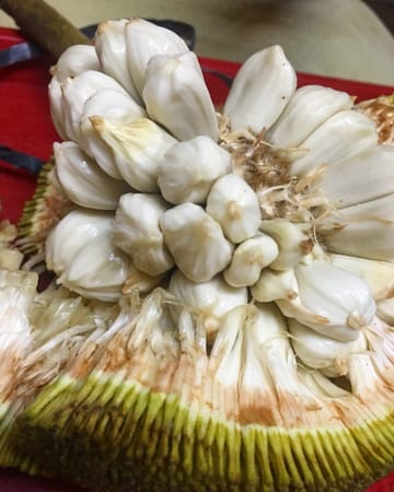 5 Things to Do in Davao: photo 19