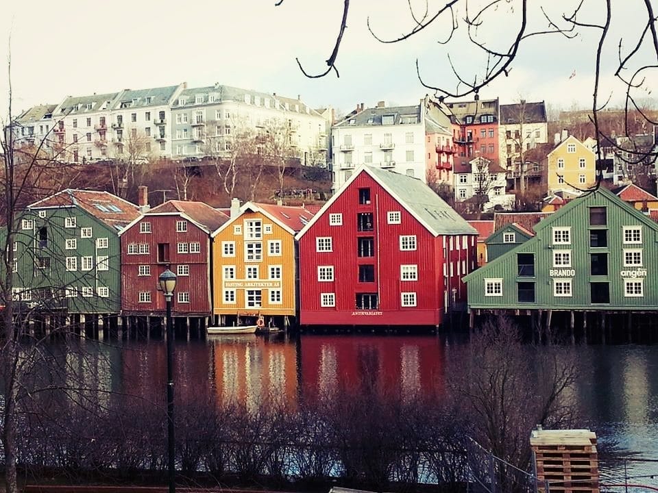 Trondheim, Norway: Northern lights and dog-sledding