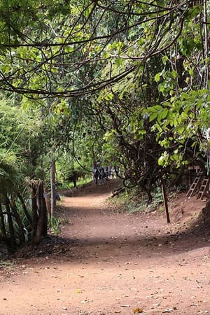 Cambodia: Exploring Ratanakiri, home of glorious nature: photo 3