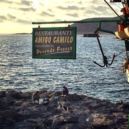Canarian food: where to eat in Las Palmas de Gran Canaria: photo 3
