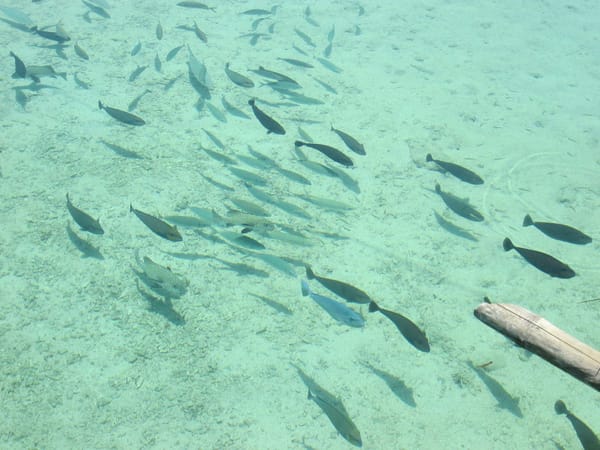 Subic Beach: A Piece of Paradise in Sorsogon, Philippines: photo 1