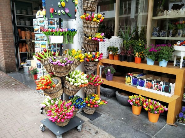 A Traveler’s Guide To Amsterdam: photo 21