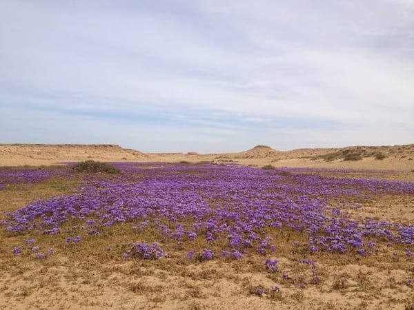 Morocco and Western Sahara: photo 1