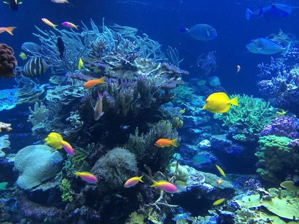 Things to do in Indonesia, Batam Riau: photo 2