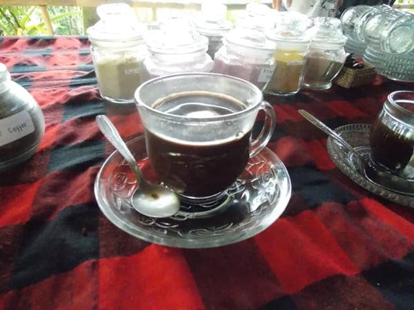 Explore different scenery in 4 days ~ Bali style: photo 9