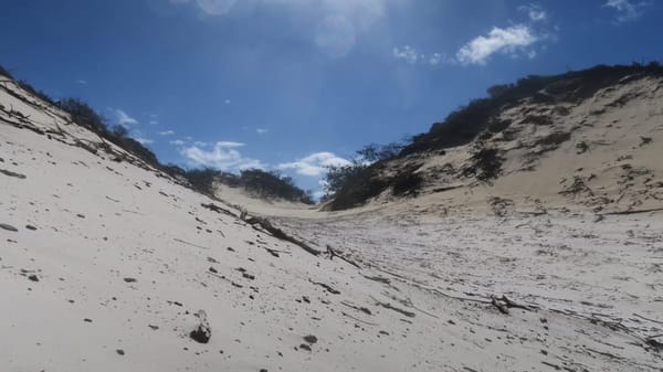 Off the beaten path of Fraser Island: photo 5