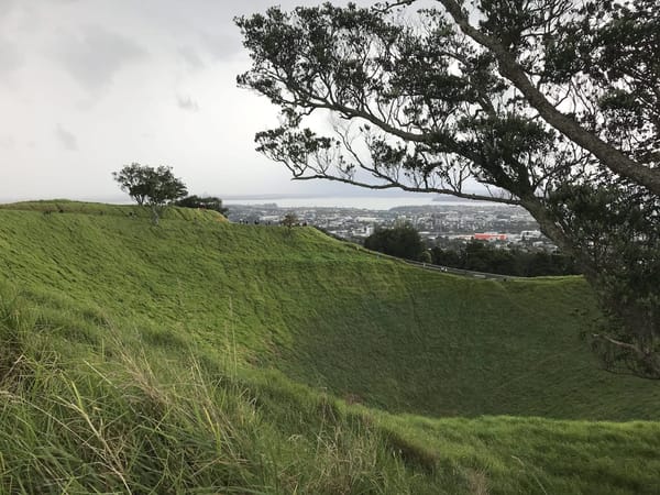 Auckland: 5 Free Things To Do: photo 5