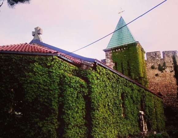 Exploring ancient Belgrade with local taste`: photo 5
