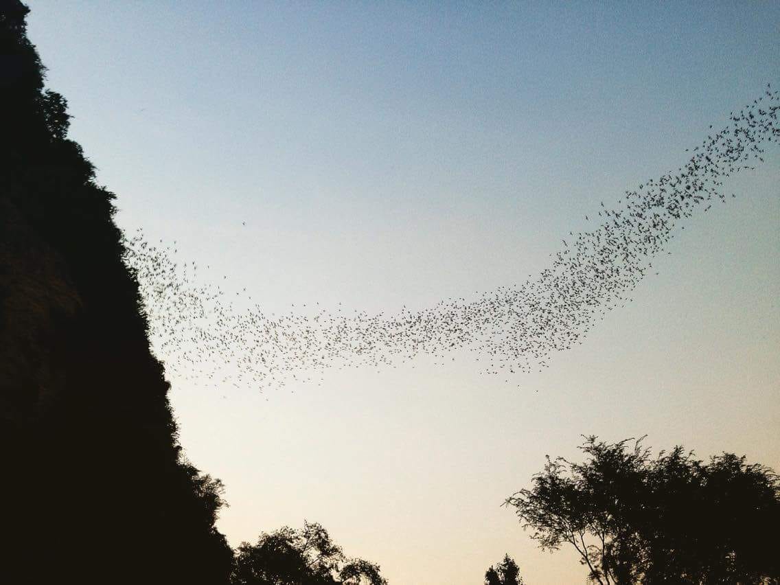 Battambang; Cambodia’s Second Largest City and Why You Should Go