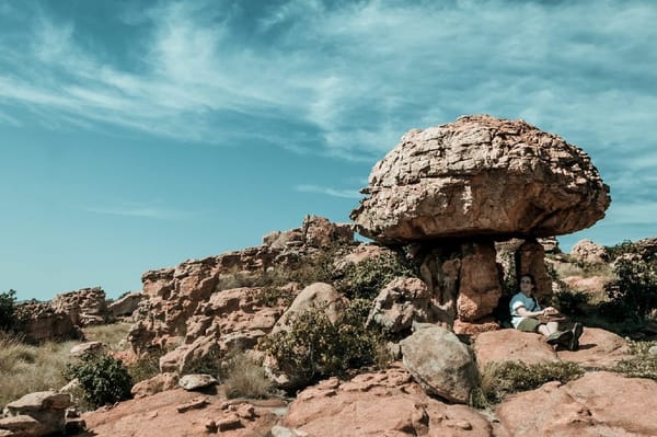 The Karee Trail - A Day Hike in the Magaliesburg, South Africa: photo 9