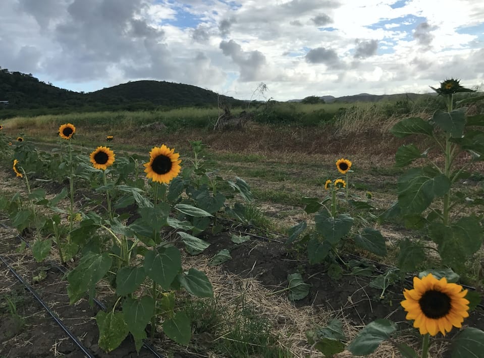 Puerto Rico: A Natural Paradise