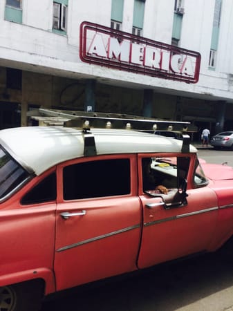CUBA and the hunt for black market lobster: photo 3