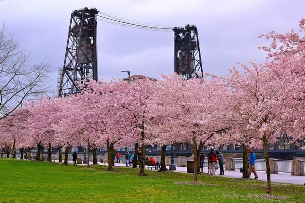 Best ways to spend your Gaycation in Portland: photo 4