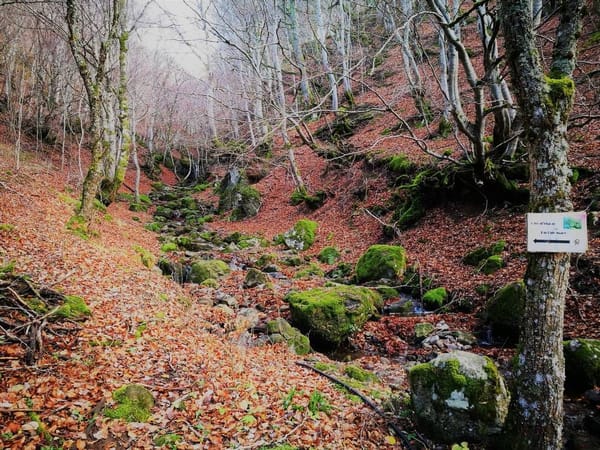 Hiking from Le Claux to Puy Mary: photo 2