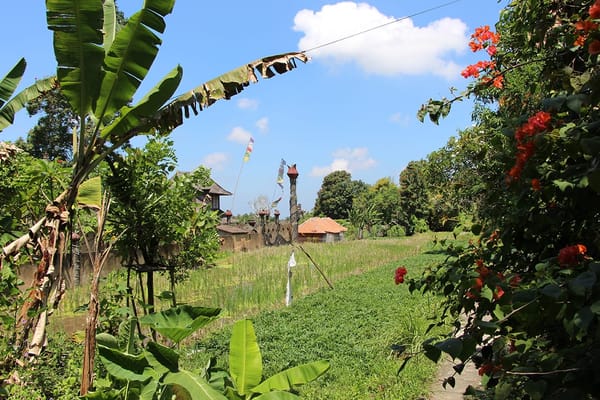 Ubud: A Quiet Treasure in Bali: photo 4