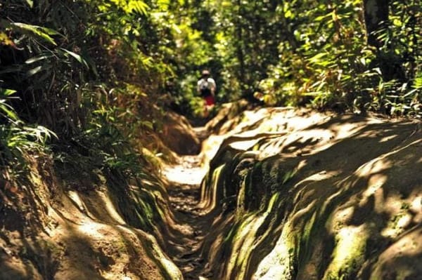 Lagoinha do Leste - The Hidden Paradise in Florianopolis: photo 6