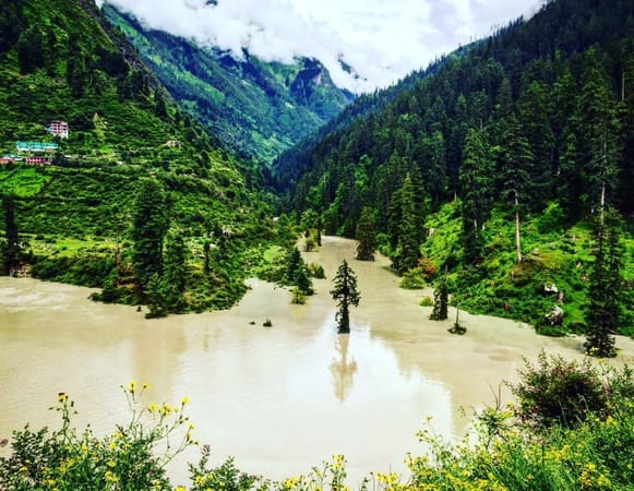 Tosh: Best Village for Explorers in Himachal Pradesh: photo 2