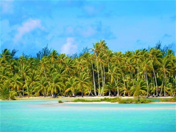 The Best Of Bora Bora: photo 10