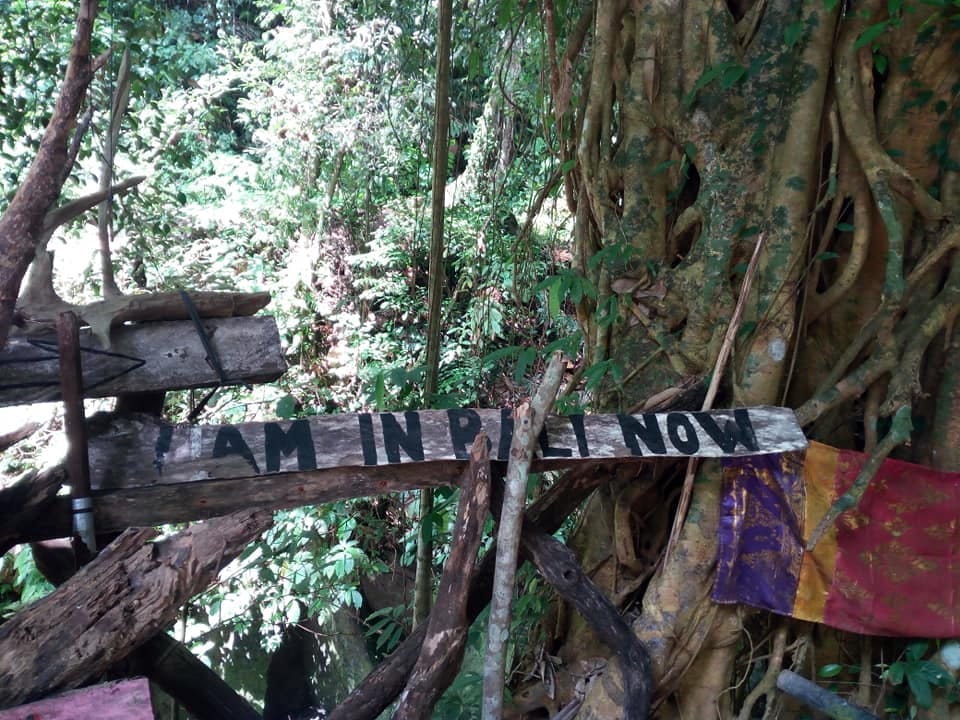 Reasons you should take that solo trip to Bali