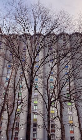 Experience Norway’s capital Oslo by walking the riverside: photo 6