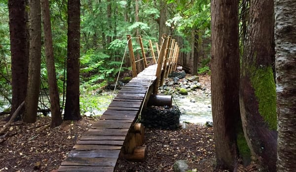 Whistler, British Columbia - Not Just For Riders: photo 6