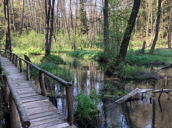 What to see in Roztocze in South-East Poland?: photo 2