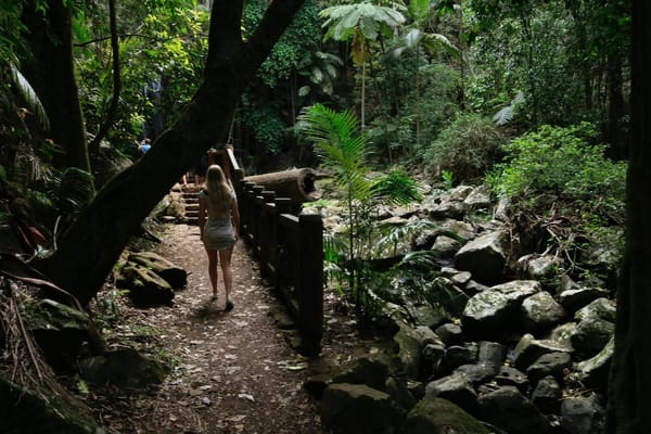 Gold Coast Australia, A home among the Gum Trees: photo 2