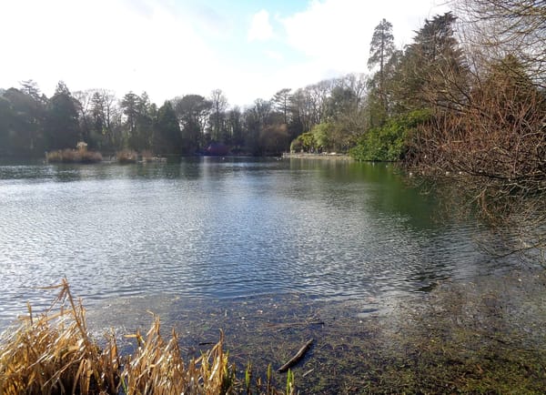 Living and Exploring Wales (UK): photo 6