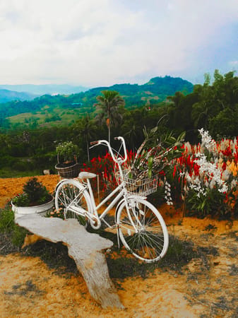 Cebu's Little Amsterdam: photo 7