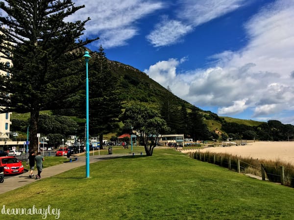 Mount Maunganui, New Zealand; A Humble Paradise: photo 3