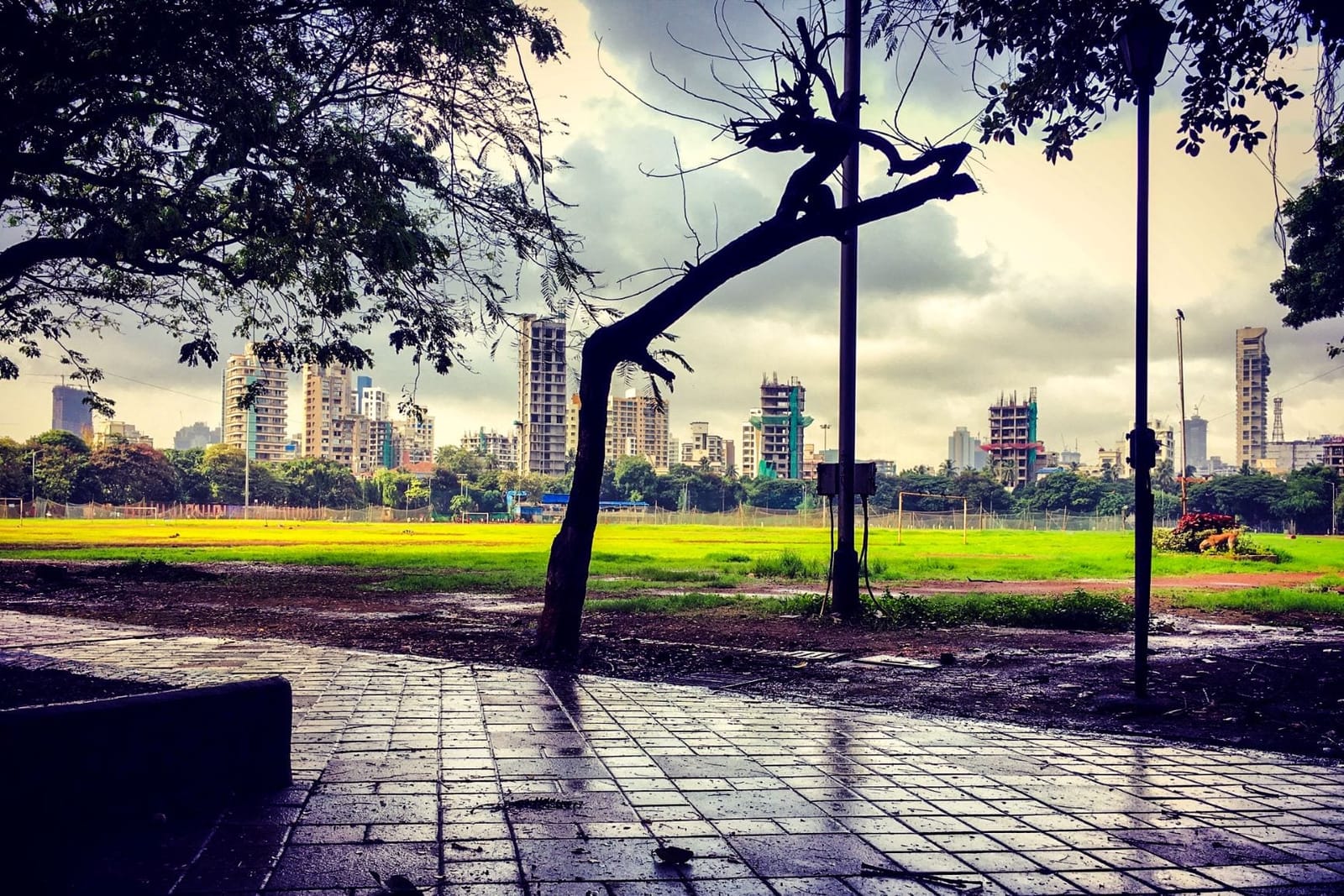 Local Mumbai food and places to see in Dadar