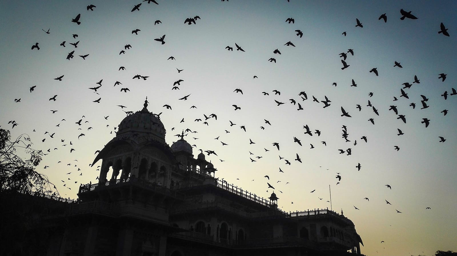 Jaipur Tour Guide: Things to do