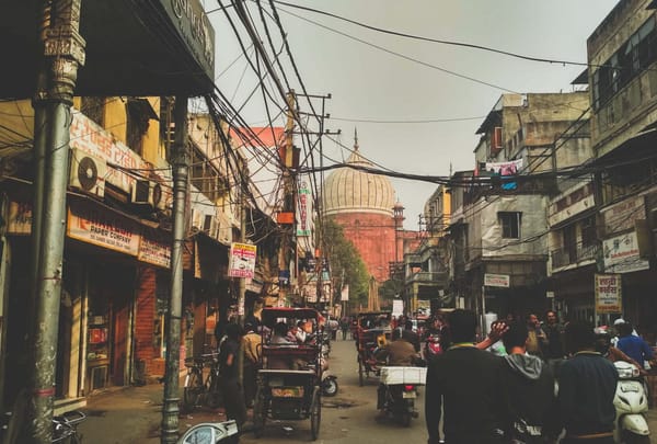 A survival practical guide to Delhi: photo 1