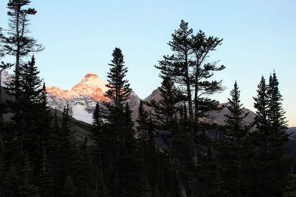 Things to Know to Road Trip in Jasper National Park, Canada: photo 2