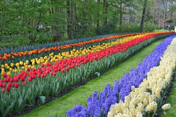 Amsterdam: Amazing Travel Destination: photo 11