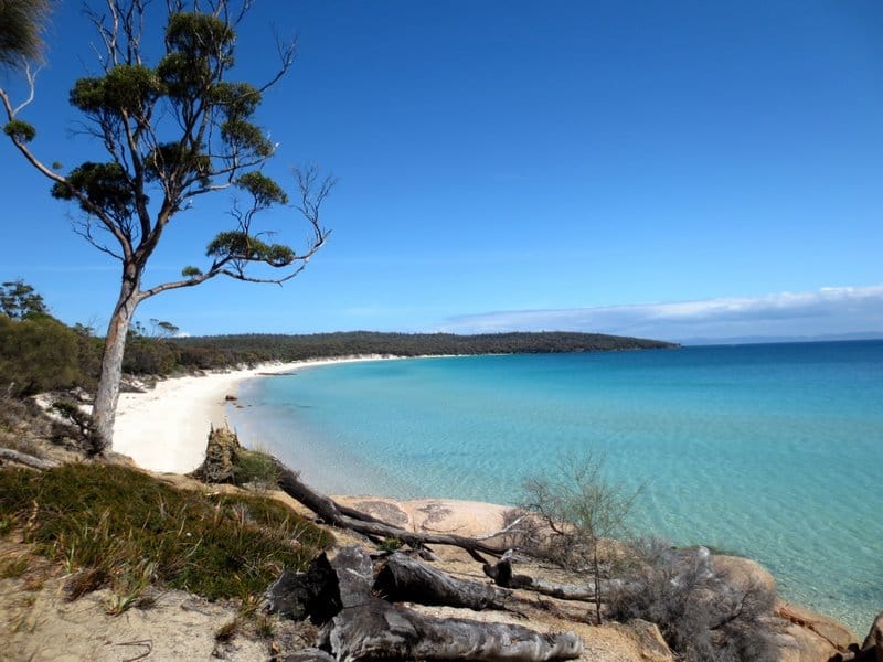 Tasmania:4 places you must visit (Australia)